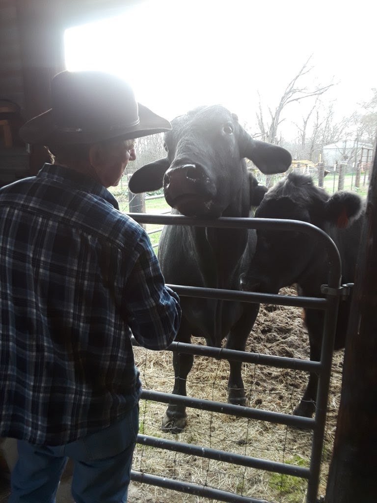 Dad with Bull